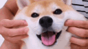 Serveur ON Fire banner