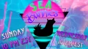 Sea Bunnies banner