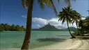 @resort . boost . social server banner