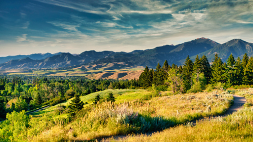 Frontier Discord server banner