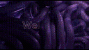 💮💮𝑻𝑰𝑻𝑨𝑵𝑺💮💮 banner