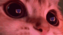 ❄ Матрешка RP | СЕРВЕР 15 banner