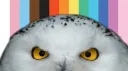 r/hpfanfiction official banner