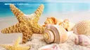 Aurora summer vibe🏖 banner