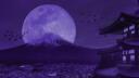 ‧₊˚﹕𝐔𝐕𝐒ignal﹕₊˚⨯ Banner