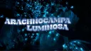 Arachnocampa Luminosa Discord server banner