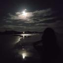 the shore whore Banner