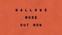 Wallows Banner