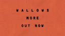 Wallows Discord server banner