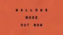 Wallows banner