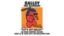 Ballsy The NFT banner