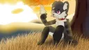 『˚₊‧୨ ✧ Nesky's Paradise ✧ ୧‧₊˚』 banner