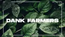 Lilium banner