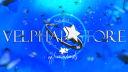 🚀〢Velphar Store banner