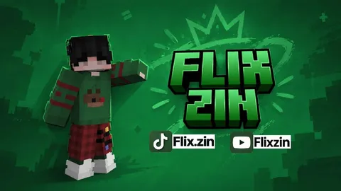 FLIX ZIN banner