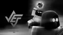 VEF banner