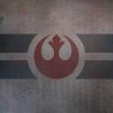 The Rebels Banner