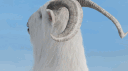 GTSX (GOAT SQUAD) banner