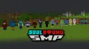 Soulbound Pubcord banner