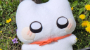 크림묘랑 놀쟈