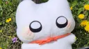 크림묘랑 놀쟈 Discord server banner