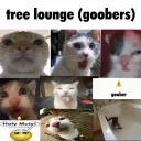 Tree Lounge™ banner