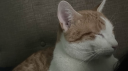 melomelo★彡 Discord server banner