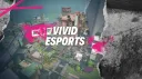 VIVID ESPORTS banner