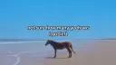 Chill Vibes Syndicate (25+) server banner