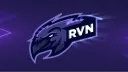 Ravens banner
