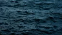 THE SEA / BAKIM AŞAMASINDA banner