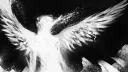 __...<<CRASHED>>...__ banner