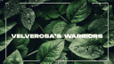 Velverosa's Warriors Discord server banner