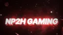 NP2H Gaming Banner