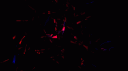 𝐒𝐭𝐚𝐫𝐝𝐮𝐬𝐭✩‧₊ banner