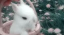 tinks' server banner