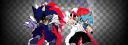 banner