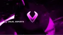 OLD VSL (SHUTDOWN) Say RIP In Chat banner
