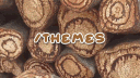 𖤘　　🪴　　❜　　ciér banner