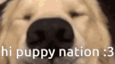 Chupa chups banner