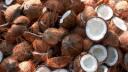 The Coconuts Banner