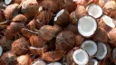 The Coconuts banner