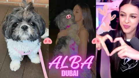 Alba Dubai ! ♡ banner