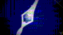 Fiat egea banner