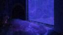 VOE Banner