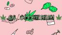 CookieSesh Banner