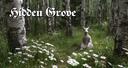 Hidden Grove Banner