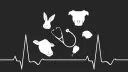 Veterinary Medicine & Animal Science banner