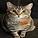 Swag's Apartment Banner