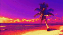 toxiq. banner